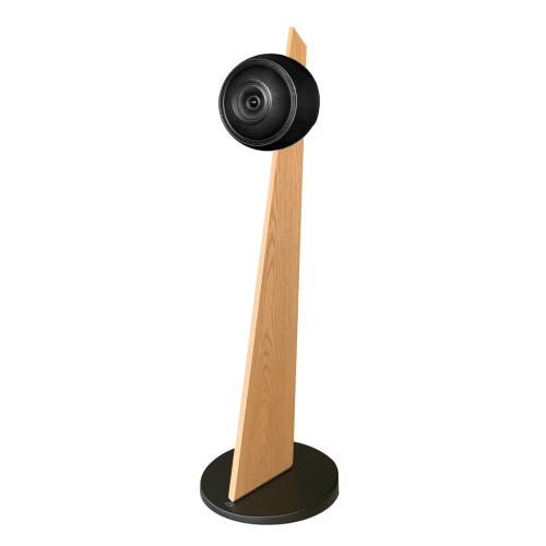 Baltic 5 on stand satellite speaker for audiophiles - Cabasse