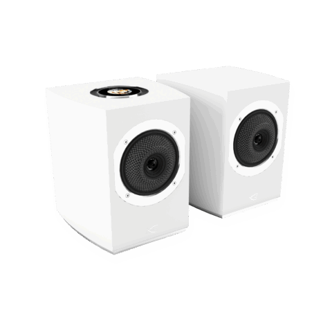 Videoiq Rialto RIALTO